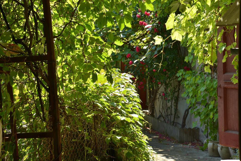 La Maison De Marthe Malleval Quarto foto